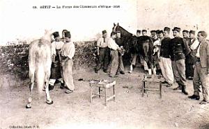 Setif - Chasseurs d'Afrique - Forge - 1914